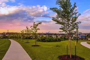 Edmonton neighourhood with view of downtown
