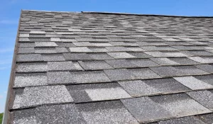 Asphalt shingle roof type
