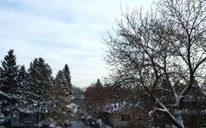 Windows frosting up in winter