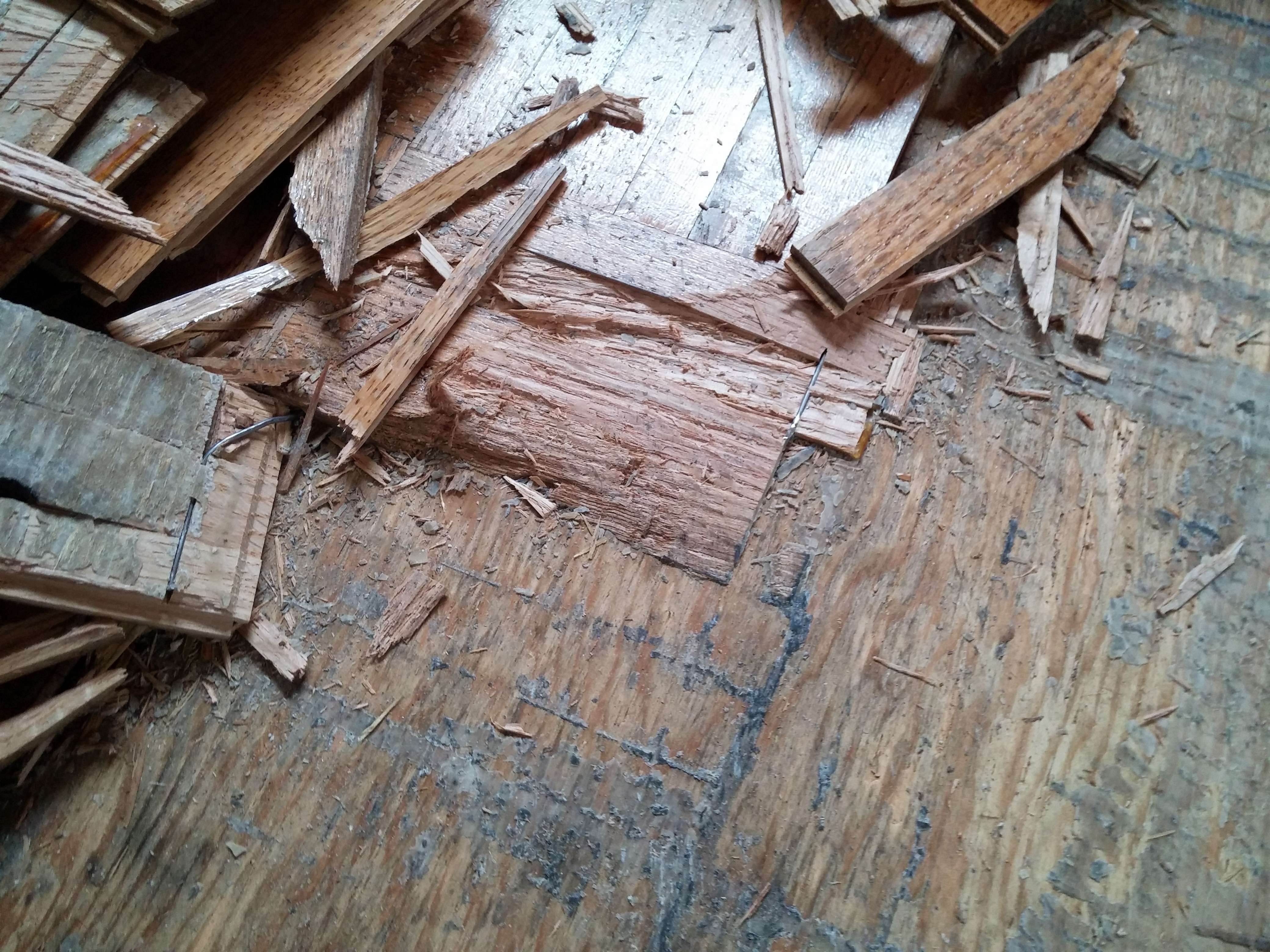 How To Remove Parquet Flooring Article From Gimme Shelter