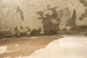 Water seeping through a foundation during a rain suggesting latent material defect